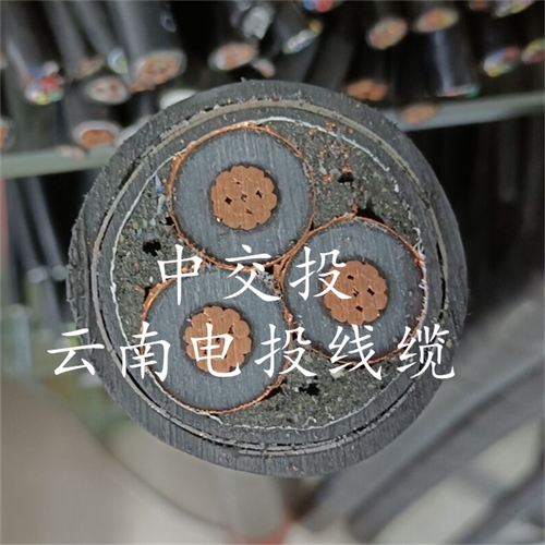 bmcj.cn