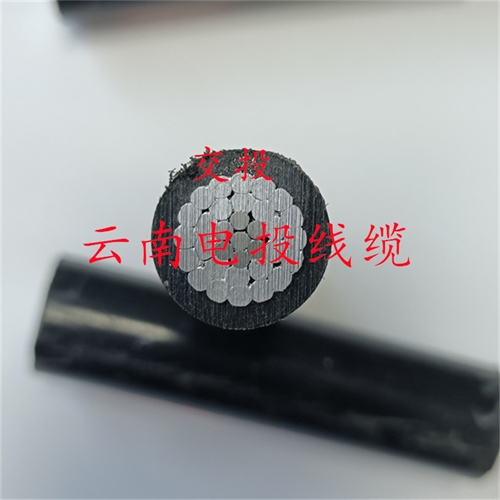 bmcj.cn