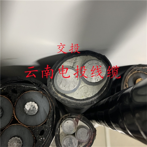 bmcj.cn