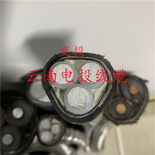 bmcj.cn