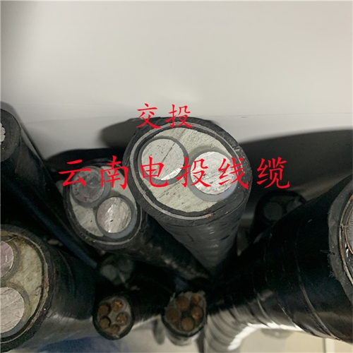 bmcj.cn