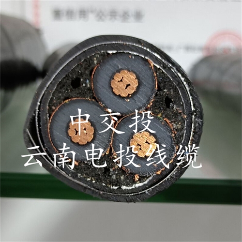 bmcj.cn