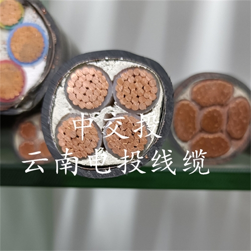 bmcj.cn