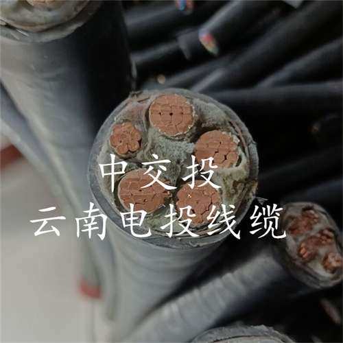 bmcj.cn