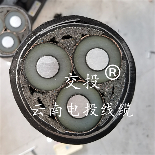 bmcj.cn