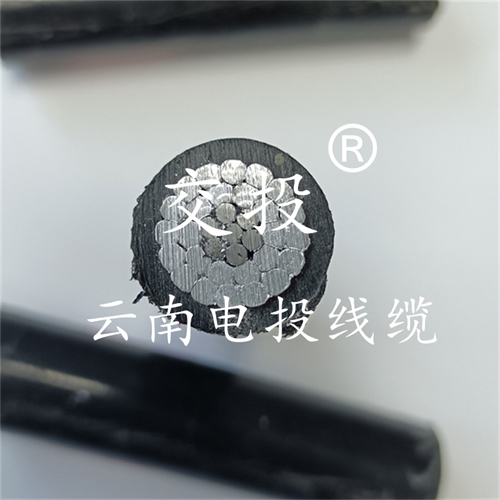 bmcj.cn
