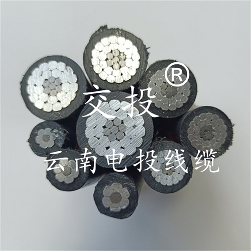 bmcj.cn