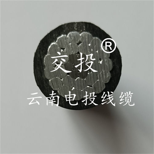 bmcj.cn